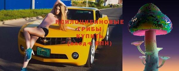 сатива Белоозёрский