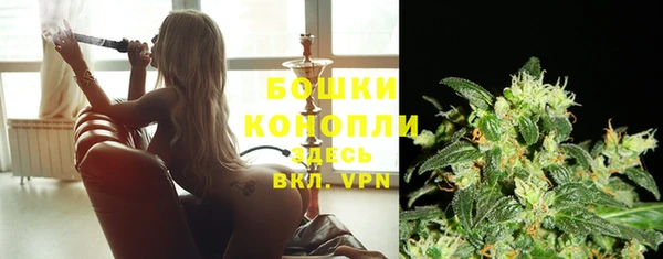 сатива Белоозёрский