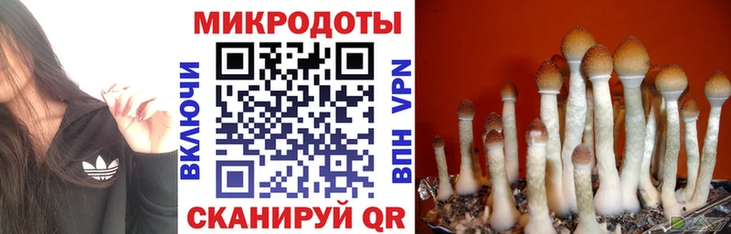 купить наркотик  Гремячинск  shop как зайти  Псилоцибиновые грибы Psilocybine cubensis  кракен ONION 